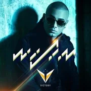 Move Your Body ft. Timbaland & Bad Bunny - Wisin