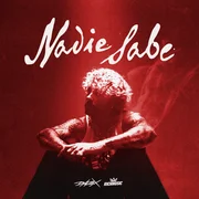 Nadie Sabe - Dalex
