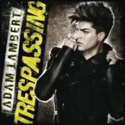 Naked Love - Adam Lambert