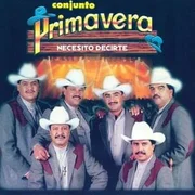 Necesito Decirte - Conjunto Primavera