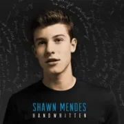 Never Be Alone - Shawn Mendes