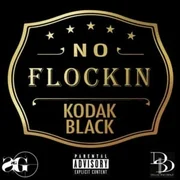 No Flockin - Kodak Black