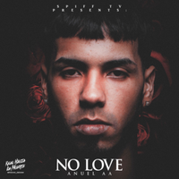 No Love - Anuel AA