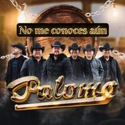 No Me Conoces Aún - Grupo Toppaz