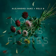 No me tires flores - Alejandro Sanz