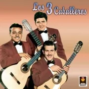 Noche No Te Vayas - Los Tres Caballeros
