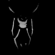 NO_MORE_INNOCENCE_​(​KR​)​.​SG ft. No More Innocence & Miles “Tails” Prower - Lyfer!