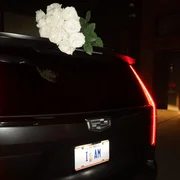 Nothing To Worry About - Lexa Gates