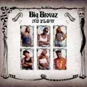 Nu flow - Big brovaz