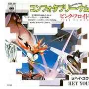 Comfortably Numb - Shintaro Sakamoto