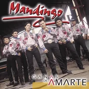 Número Equivocado - Mandingo