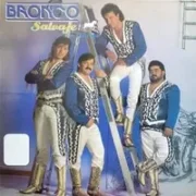 Nunca Voy a Olvidarte - Bronco