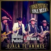 Ojalá Te Animes (En Vivo) - Bronco