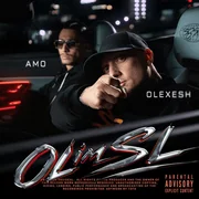OL im SL - Olexesh