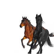 Old Town Road (Remix) ft. Billy Ray Cyrus - Lil Nas X