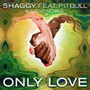 Only Love - Shaggy