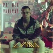 Pa' Que Vuelvas - Lyanno