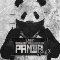 Panda (Remix) - Almighty