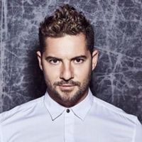 Para Enamorarte de Mí - David Bisbal