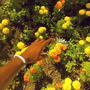 PEACH FUZZ - Tyler