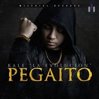 Pegaíto - Kalé