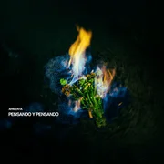 PENSANDO Y PENSANDO - Armenta