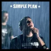 Perfect - Simple plan