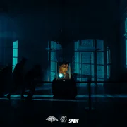 PICASSO ft. 3robi - Simba La Rue