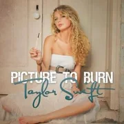 Picture to Burn - Taylor Swift