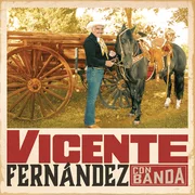 Por Una Mujer Casada - Vicente Fernández