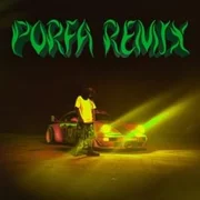 PORFA (Remix) ft. J Balvin, Maluma, Nicky Jam, Sech & Justin Quiles - Feid