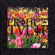 Prince Tulip ft. $uicideboy$ - $uicideboy$