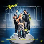 Privado (remix) (part. La Joaqui y de La Ghetto) - Lucky Brown, La Joaqui & De La Ghetto