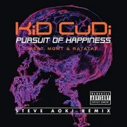 Pursuit of Happiness (Steve Aoki Remix) ft. Ratatat & MGMT - Kid Cudi