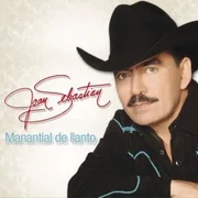 Que bonita pareja - Joan Sebastian