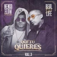 Que Tú Quieres - Ñengo Flow