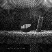 ¿Quién? - Santo Vicio