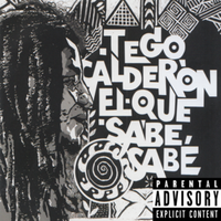 Quisiera Ser Cantante - Tego Calderon