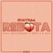 Rebota (Remix) - Guaynaa