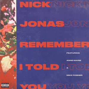 Remember I Told You - Nick Jonas