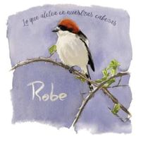 Ruptura Leve - Robe