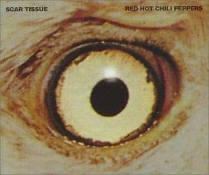 Scar tissue - Red hot chili peppers