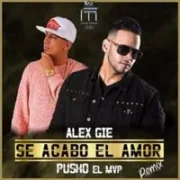 Se Acabo El Amor (Remix) - Alex Gie