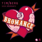 Seek Bromance (Avicii Vocal Edit) ft. Amanda Wilson - Avicii