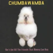 She's got all the friends that money can buy - Chumbawamba