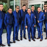 Si Creíste En Mí - La Arrolladora Banda El Limón