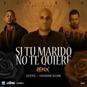 Si Tu Marido No Te Quiere (DJ Lobo Remix) ft. Shadow Blow - Ozuna