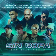 Sin Ropa (Remix) ft. Casper Mágico, Darell, Brytiago & Nio García - Anonimus