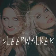 ​sLeepwALkeR - The Pretty Wild