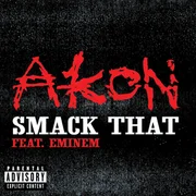 Smack That ft. Eminem - Akon